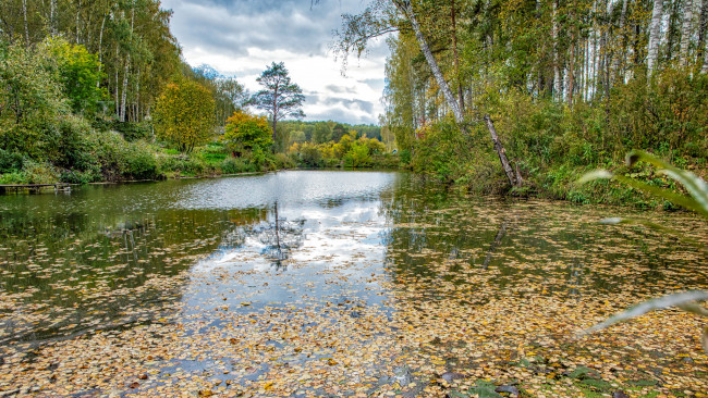 Обои картинки фото природа, реки, озера, простор