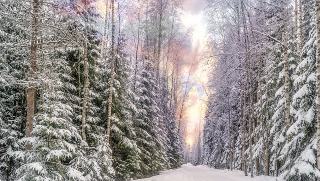 Обои картинки фото природа, зима, простор