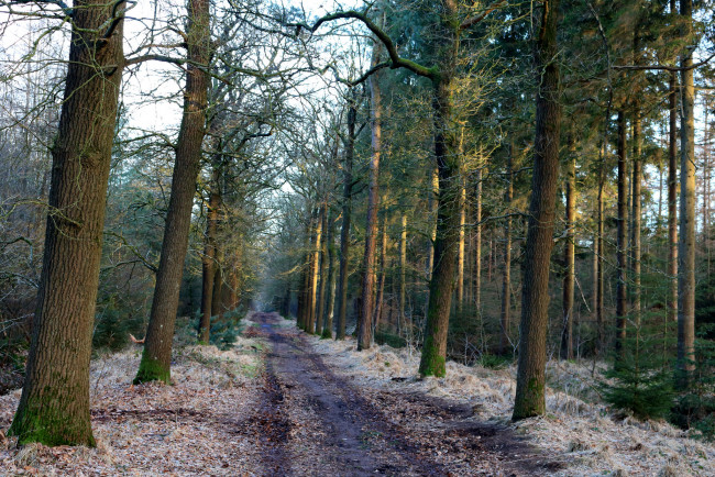 Обои картинки фото природа, дороги, простор