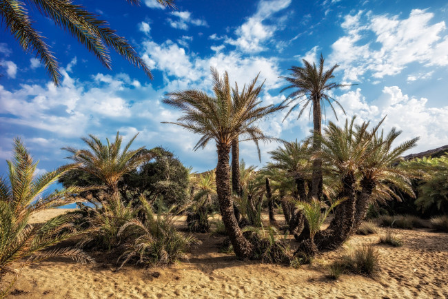 Обои картинки фото природа, тропики, простор