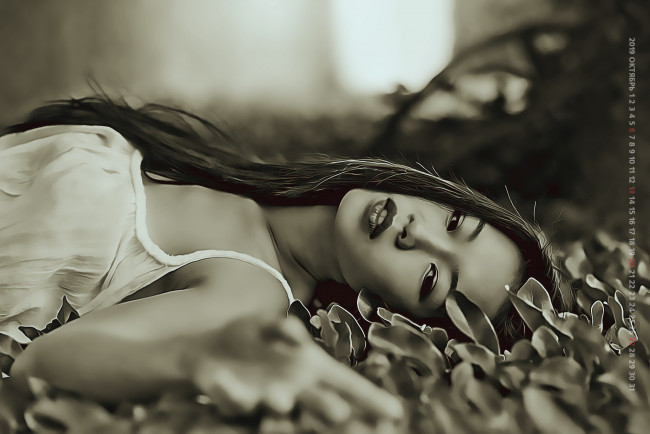 Обои картинки фото календари, компьютерный дизайн, девушка, женщина, calendar, растение, 2019