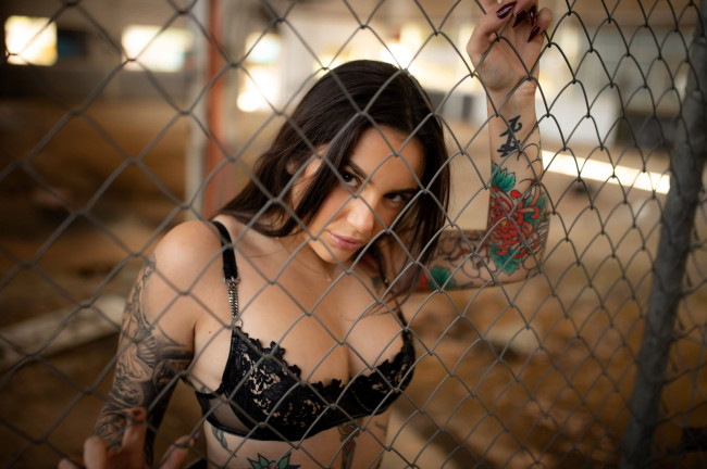 Обои картинки фото девушки, - лица,  портреты, шатенка, белье, тату, сетка, решетка