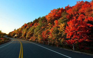 Картинка природа дороги лес осень дорога шоссе