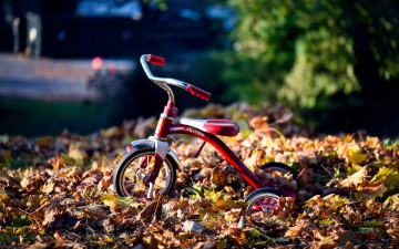 обоя разное, игрушки, велосипед, листья, осень