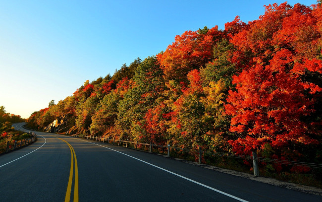 Обои картинки фото природа, дороги, лес, осень, дорога, шоссе