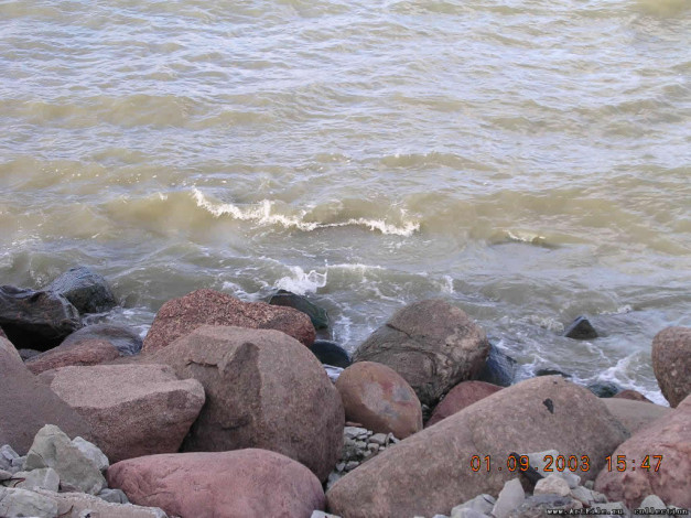 Обои картинки фото 