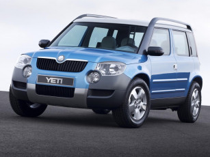 Картинка автомобили skoda