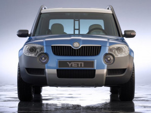 Картинка автомобили skoda