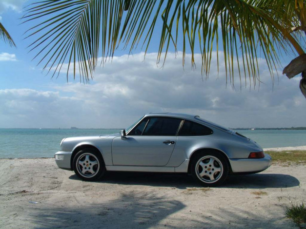 Обои картинки фото автомобили, porsche