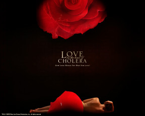 Картинка love in the time of cholera кино фильмы