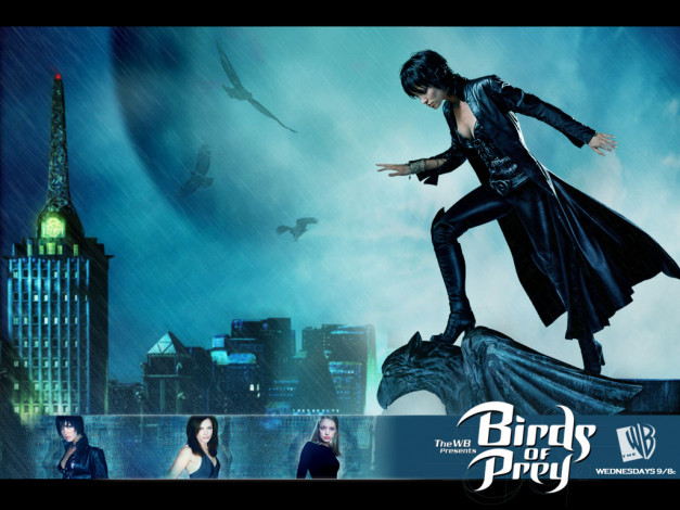 Обои картинки фото birds, of, prey, кино, фильмы, сериал