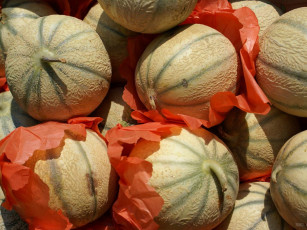 Картинка еда дыня