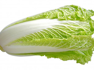 Картинка еда капуста её разновидности