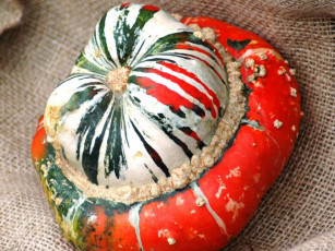 Картинка еда тыква