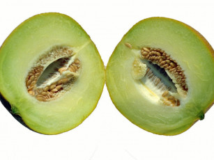 Картинка еда тыква