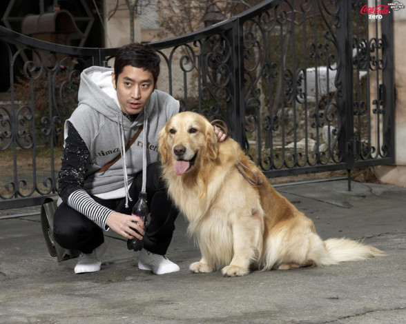 Обои картинки фото бренды, coca, cola