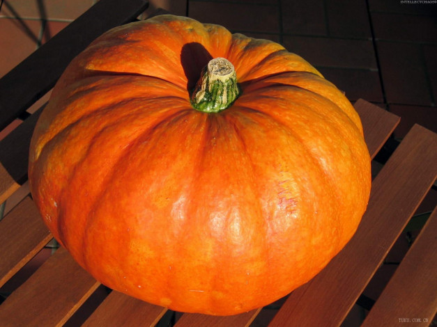 Обои картинки фото еда, тыква