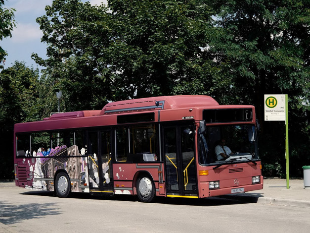 Обои картинки фото автомобили, автобусы