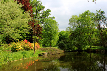 Картинка Чехия pruhonice природа реки озера река