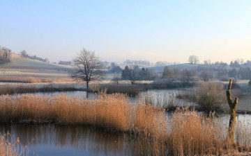 Картинка природа реки озера водоем деревья дома камыш осень