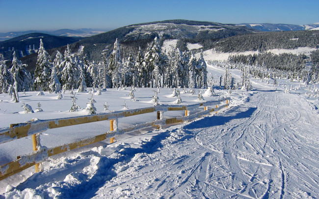 Обои картинки фото природа, зима, снег, дорога, лес