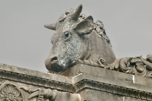 Обои картинки фото разное, элементы, архитектуры, корова