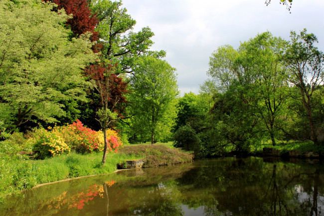 Обои картинки фото Чехия, pruhonice, природа, реки, озера, река