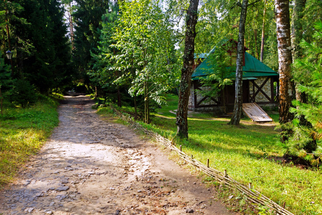 Обои картинки фото калужская, область, поленово, природа, деревья, лес, дорога