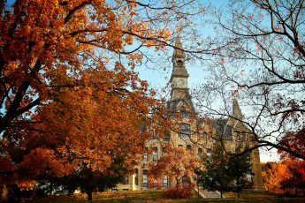 Картинка города здания дома парк деревья трава осень краски замок