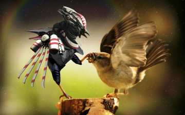 Картинка разное компьютерный дизайн робот воробей птицы