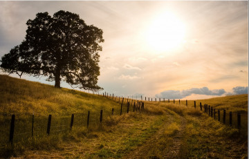 Картинка природа дороги поле трава забор деревья дорога