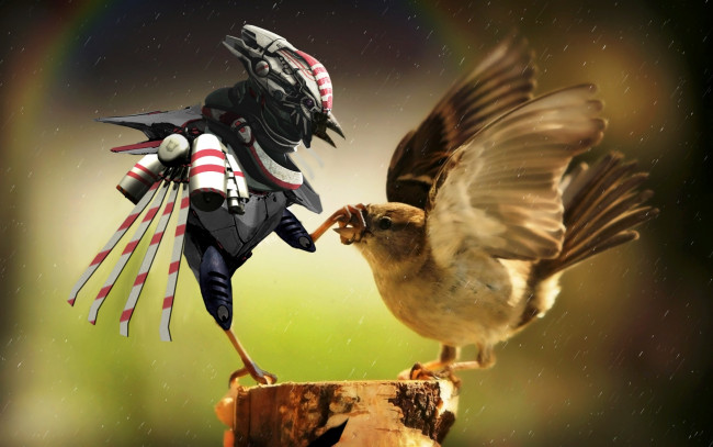 Обои картинки фото разное, компьютерный, дизайн, робот, воробей, птицы