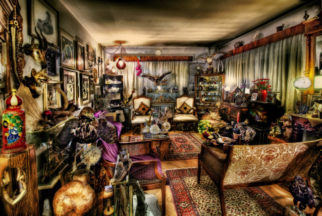 Обои картинки фото интерьер, гостиная, стол, стул, олень, лампа, кресло, цепь, занавески, подушка, аквариум, шарики, комната, телефон, статуэтка, шкаф, чучело, картины, меч, часы, медведь, сервиз, телевизор, ваза, ковер, лиса, козел, птица, венок, цветы, кобра, утка, ерш, вещи