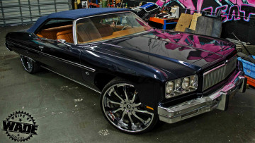 Картинка автомобили chevrolet caprise