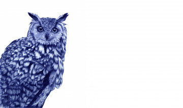 Картинка рисованное животные +птицы сова фон белый птица