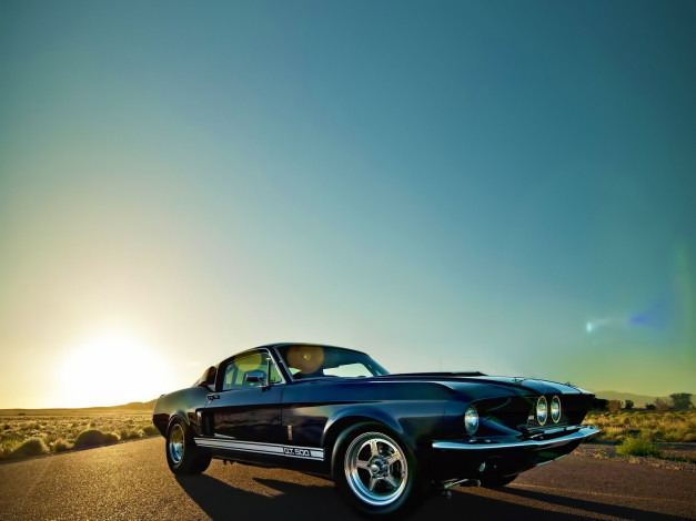 Обои картинки фото автомобили, mustang