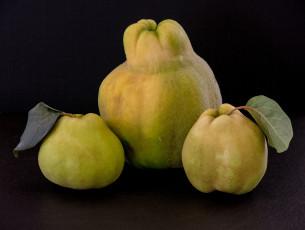 Картинка еда груши плоды