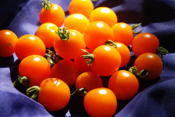 Картинка еда помидоры томаты