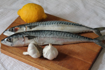 Картинка еда рыба +морепродукты +суши +роллы рыбка