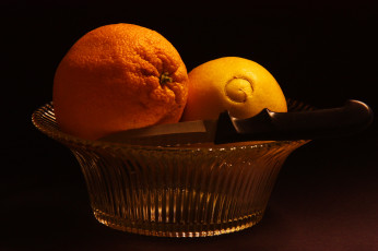 Картинка еда цитрусы апельсины