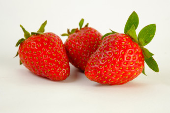 Картинка еда клубника +земляника ягоды