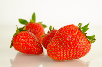 Картинка еда клубника +земляника ягоды
