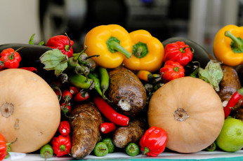 Картинка еда овощи урожай