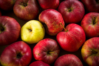 Картинка еда Яблоки яблочки