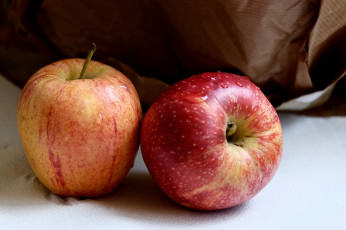 Картинка еда Яблоки яблочки