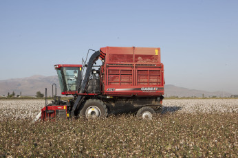 Картинка техника комбайны case