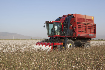 обоя техника, комбайны, case