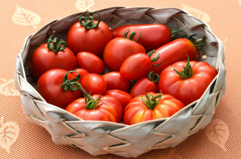 Картинка еда помидоры томаты