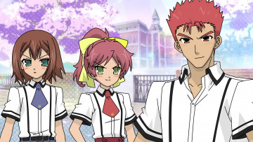 Картинка аниме baka+to+test+to+shoukanjuu взгляд фон девушки