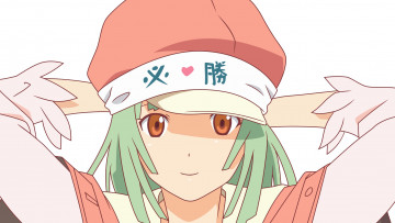 Картинка аниме bakemonogatari фон взгляд девушка